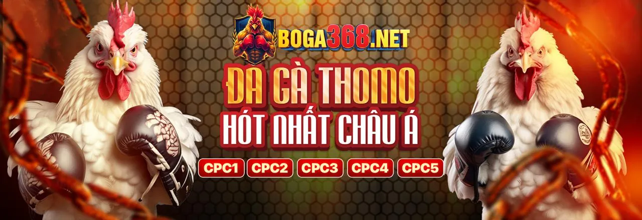 Khuyến mãi hoàn trả hàng ngày cho sảnh thể thao