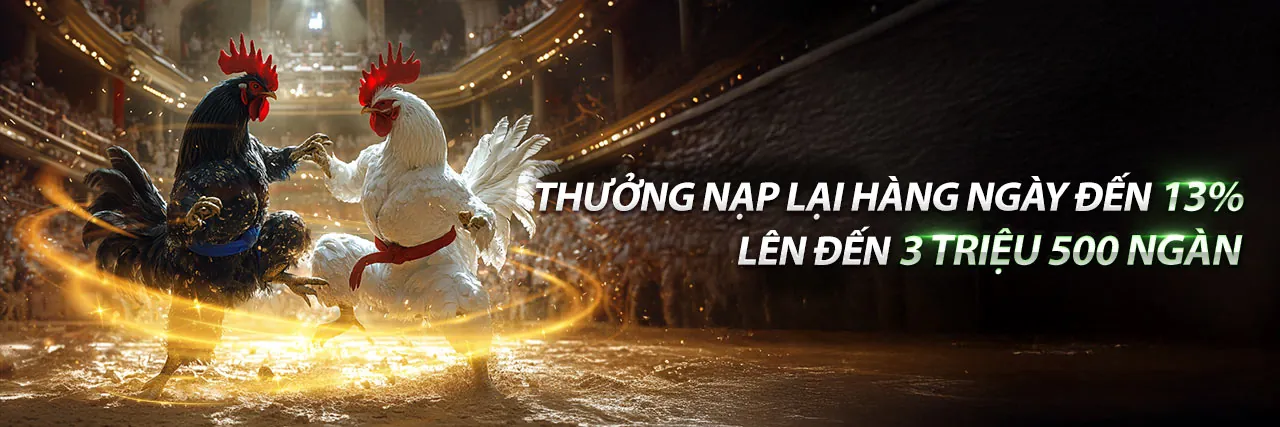 Hình ảnh chính: Các điều khoản và điều kiện của fb88sg nhà cái, đảm bảo môi trường cá cược an toàn và minh bạch
